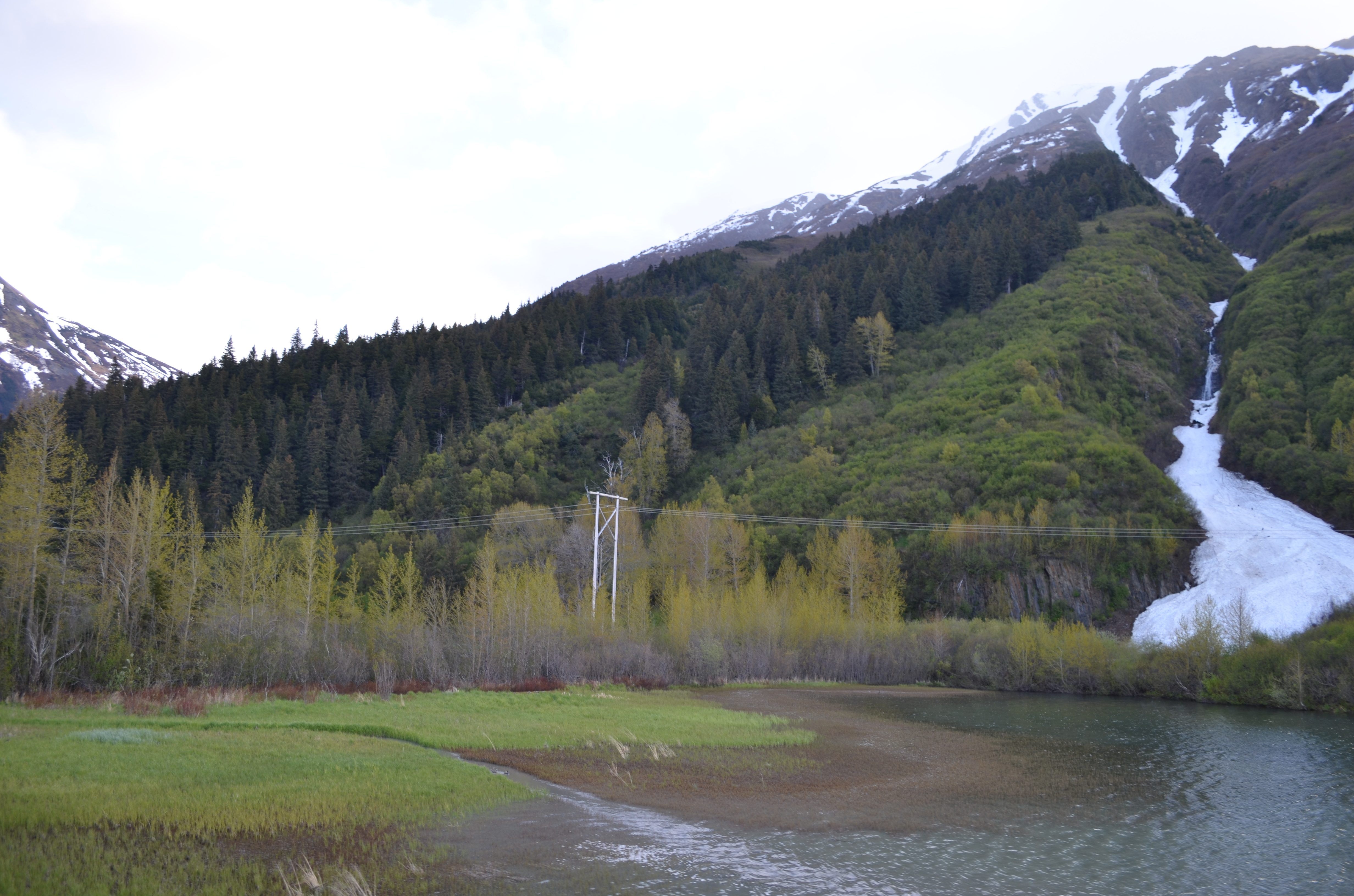 ./2017/08 - Alaska Cruise/05 - Train to Seward/DSC_0490.JPG